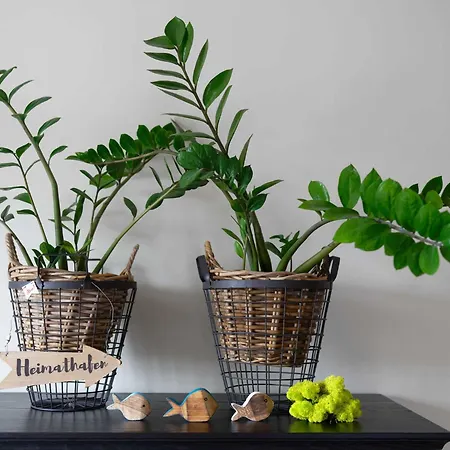 Apartmán Koje 9 Im Heimathafen